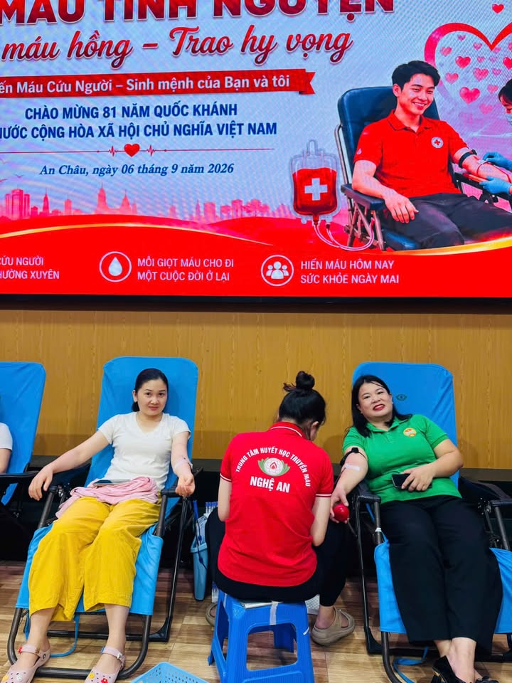 Hoạt động của Trung tâm