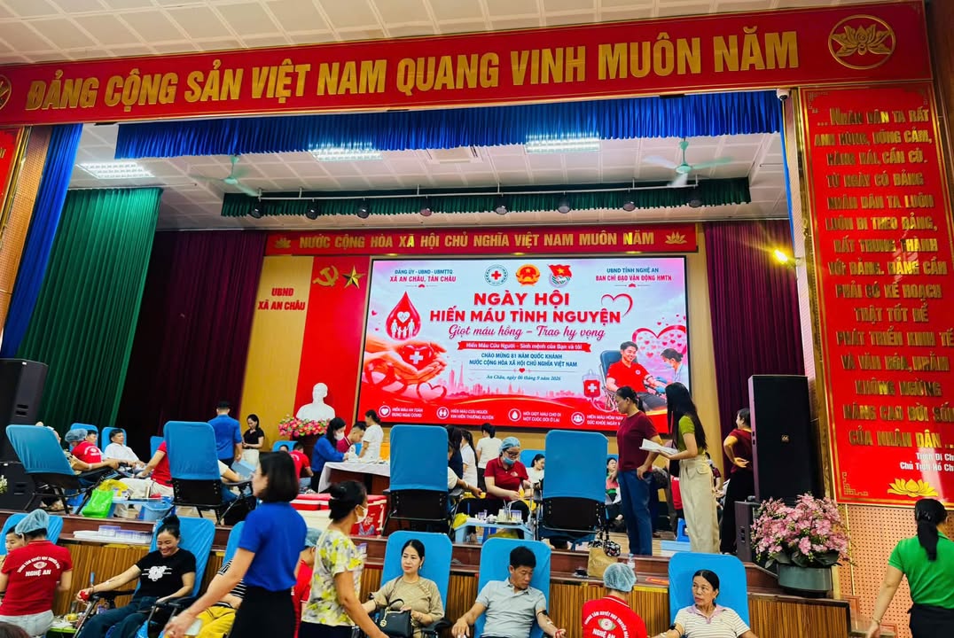 Hoạt động của Trung tâm
