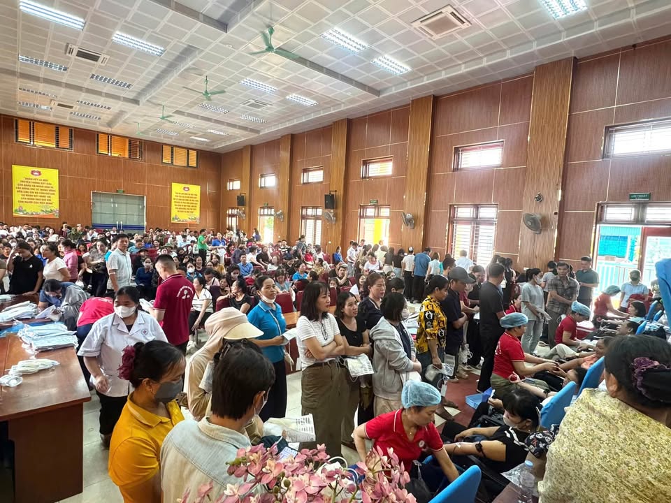 Hoạt động của Trung tâm