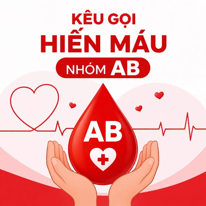 Hoạt động của Trung tâm