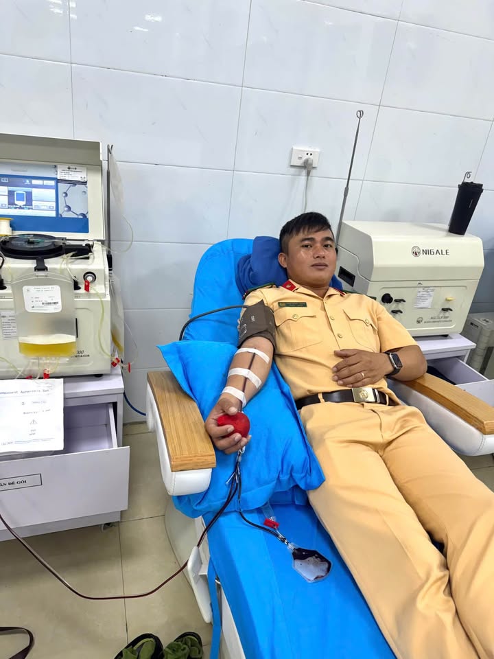 Hoạt động của Trung tâm
