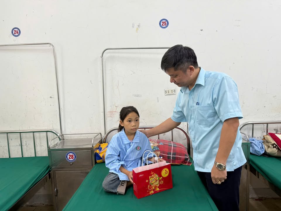 Hoạt động của Trung tâm