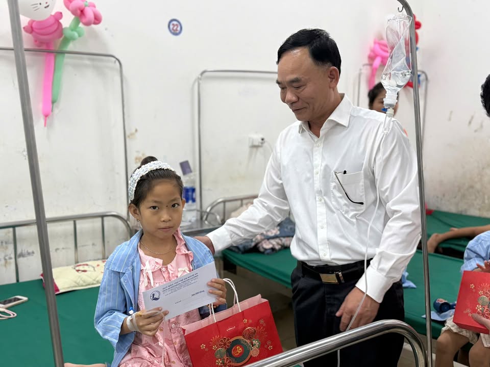 Hoạt động của Trung tâm