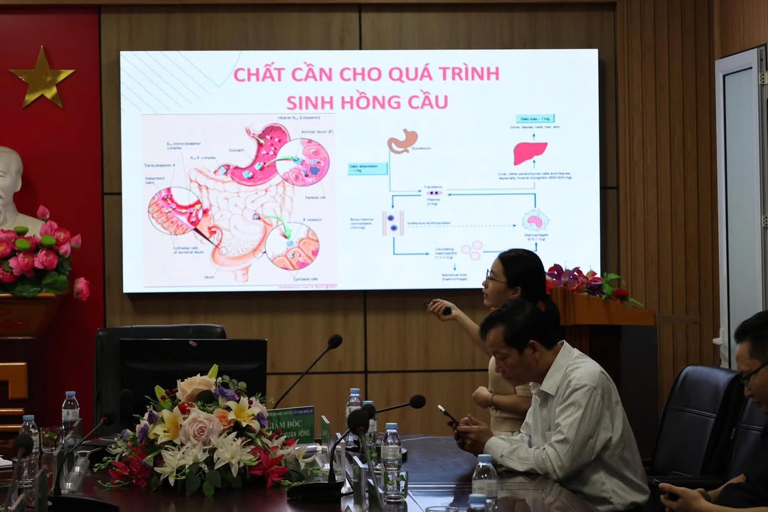 Hoạt động của Trung tâm
