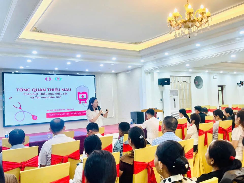 Hoạt động của Trung tâm