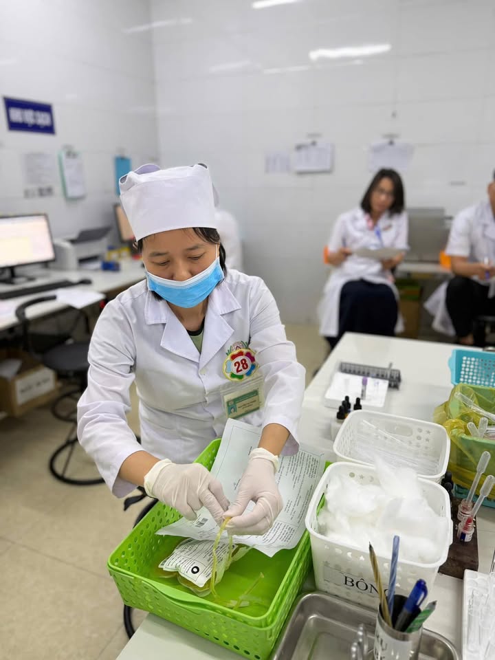 Hoạt động của Trung tâm