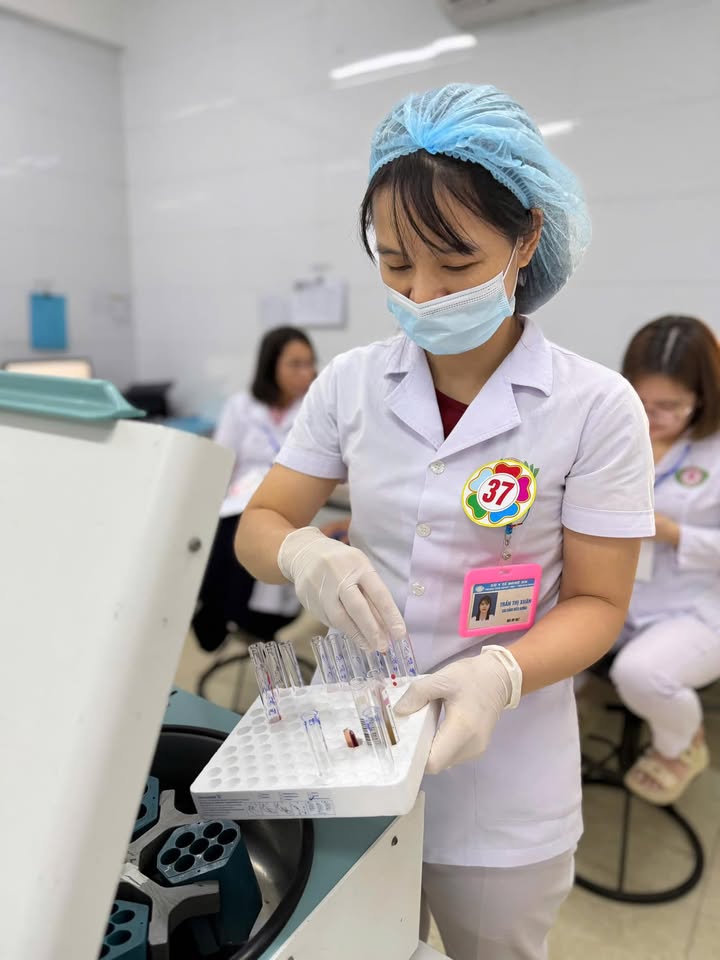 Hoạt động của Trung tâm