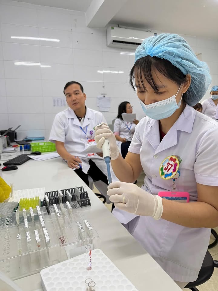 Hoạt động của Trung tâm