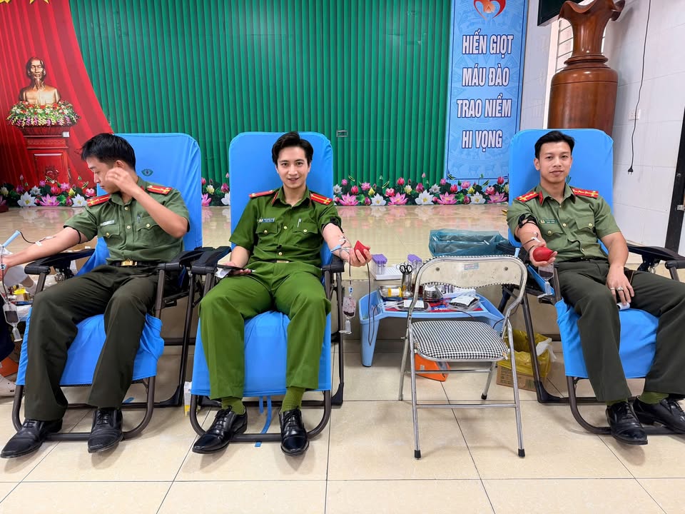 Hoạt động của Trung tâm
