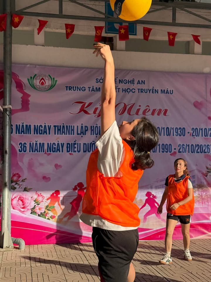 Hoạt động của Trung tâm