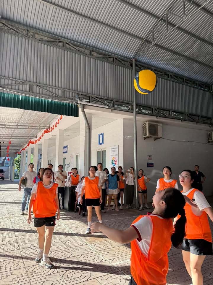 Hoạt động của Trung tâm
