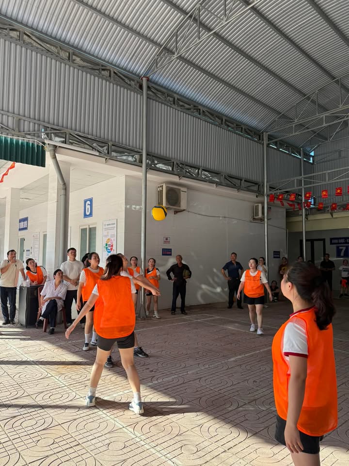 Hoạt động của Trung tâm